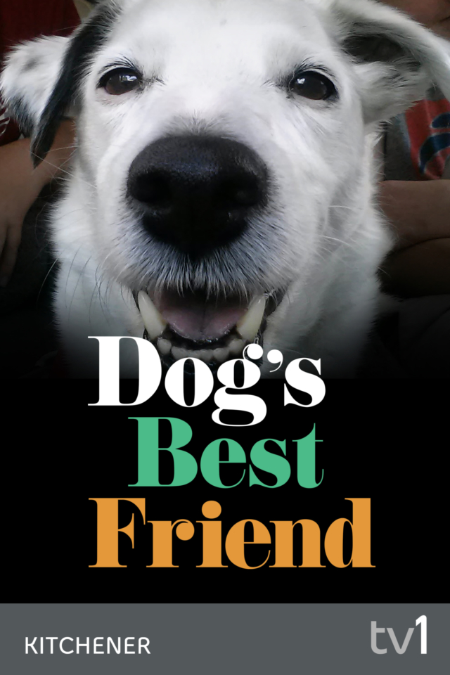 Dog's Best Friend - Poster