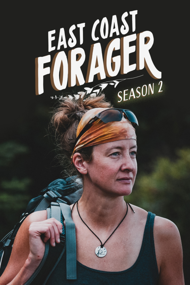 East Coast Forager - Poster
