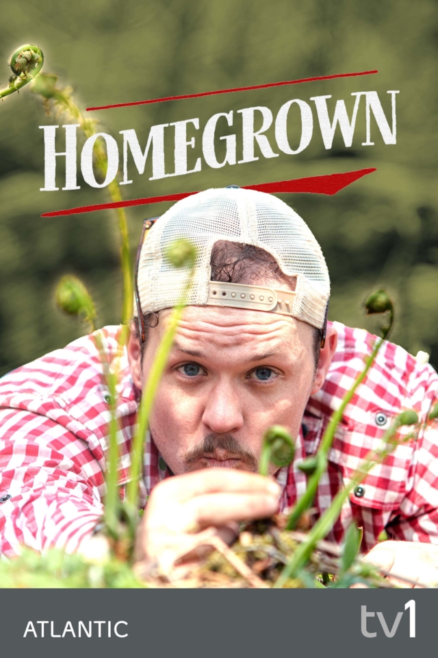 Homegrown - Poster