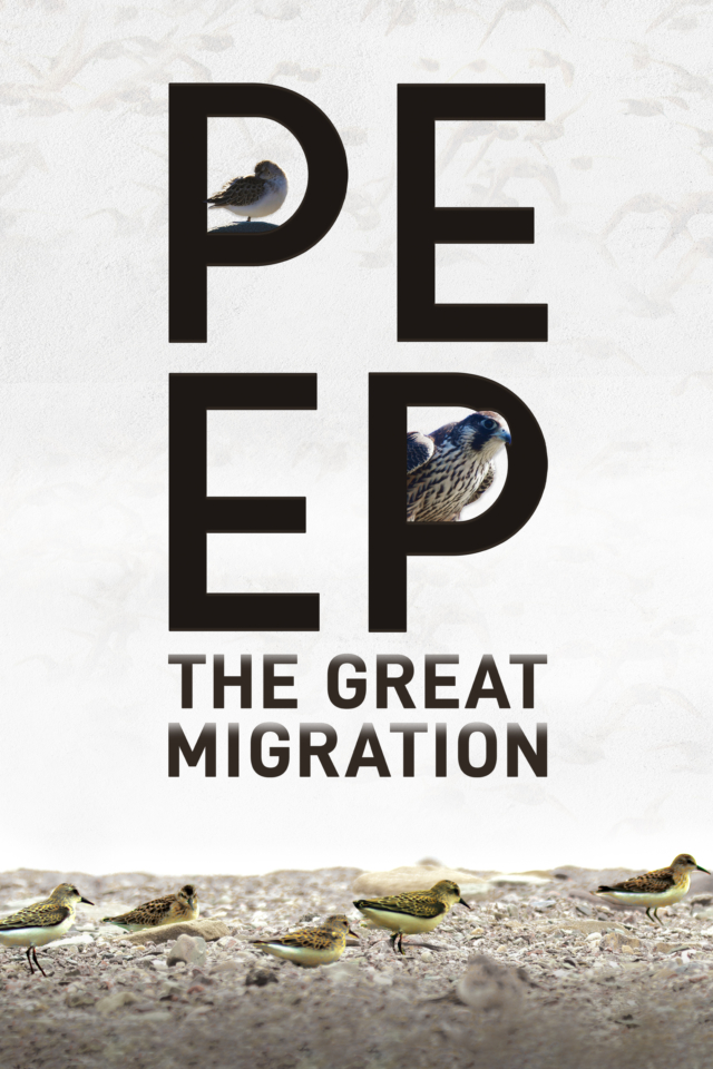 Peep: The Great Migration - Poster