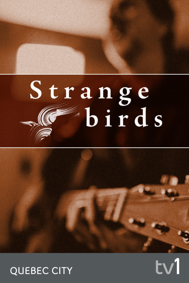 Strange Birds - Poster