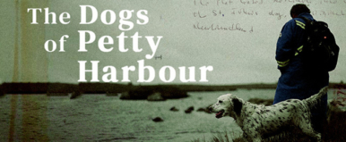 The Dogs of Petty Harbour