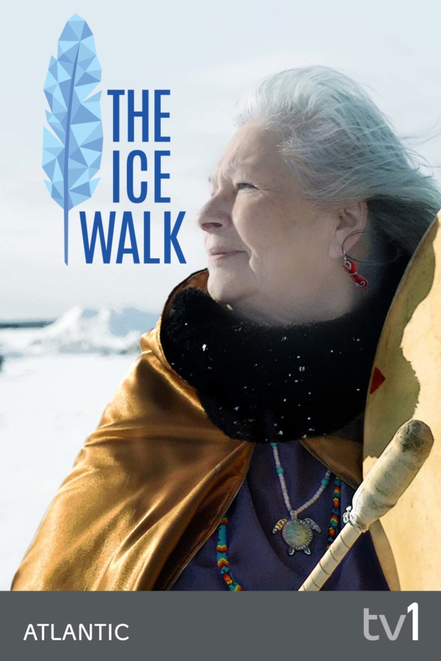 The Ice Walk - Poster