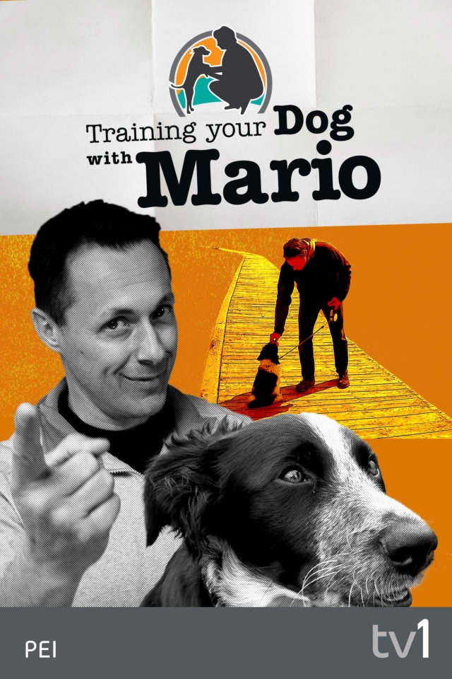Training your dog with Mario - Poster